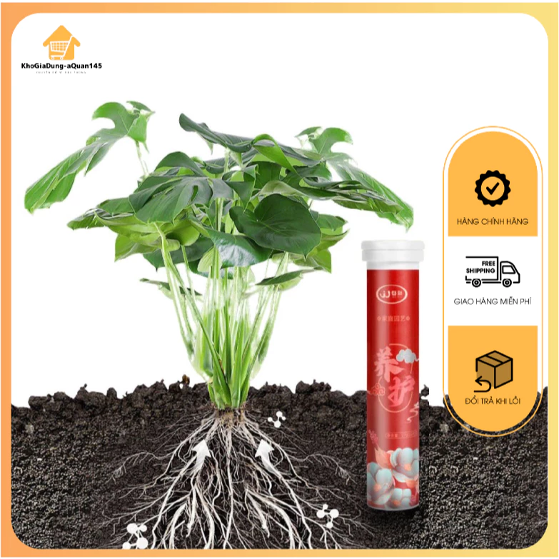 vn-11134207-7r98o-lr1xasbd6d3871